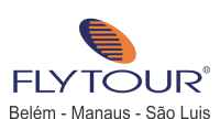 Flytourchip