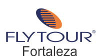 Flytourchip