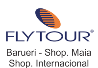 Flytourchip