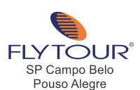 Flytourchip