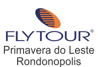 Flytourchip