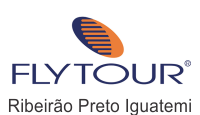 Flytourchip