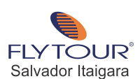 Flytourchip