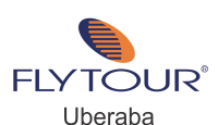 Flytourchip